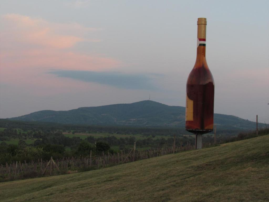 Torkolat Panzió Acomodação com café da manhã Tokaj Exterior foto