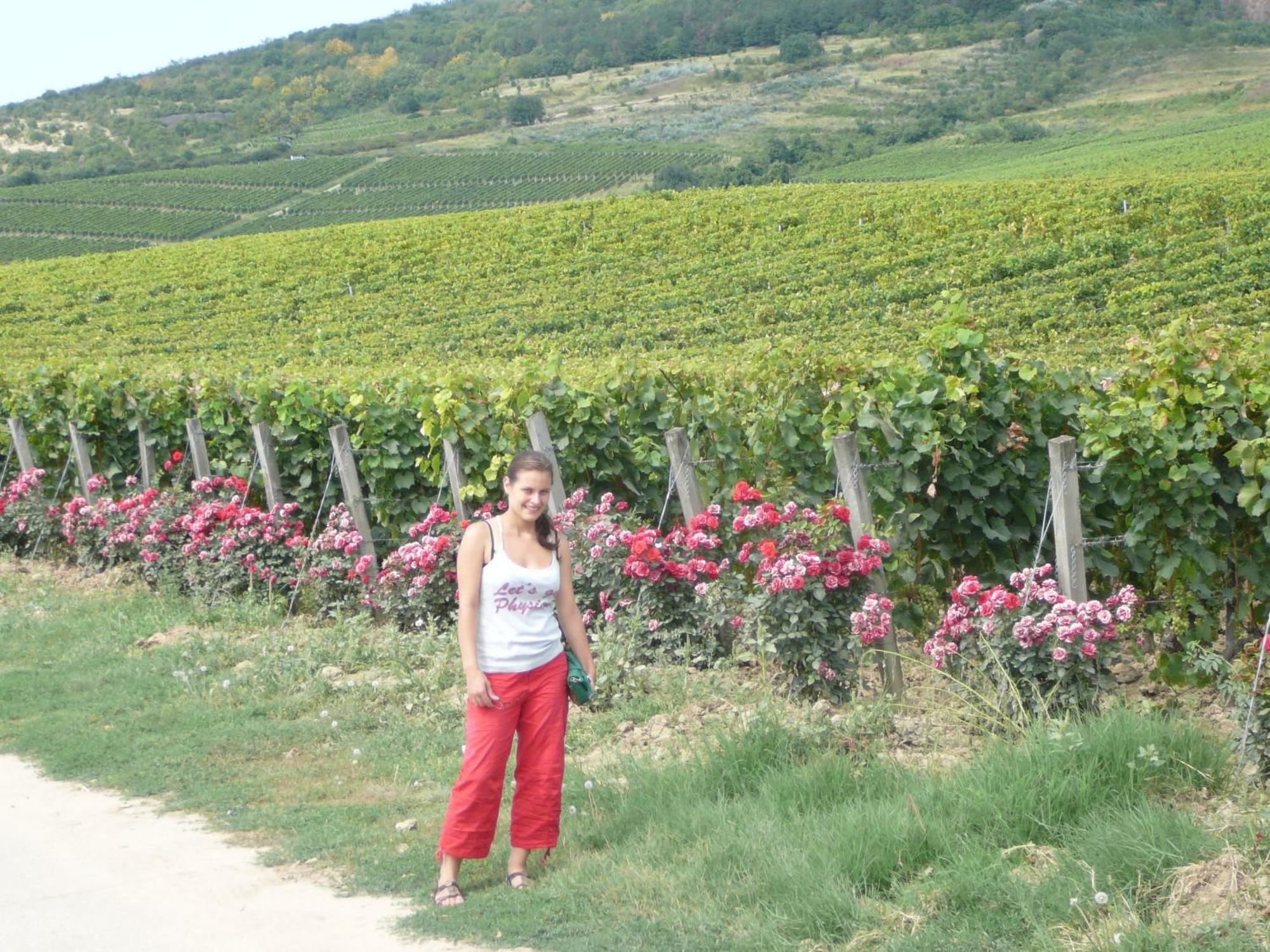 Torkolat Panzió Acomodação com café da manhã Tokaj Exterior foto